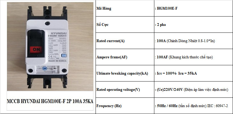 100A Thông số át HGM100E-F 