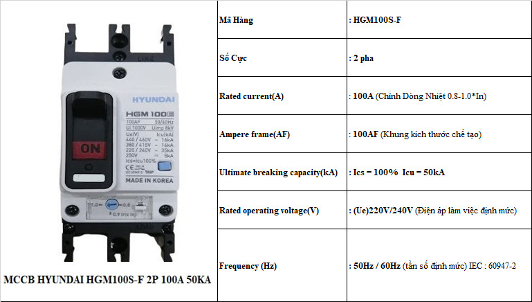 100 TS HGM100S-F 2P