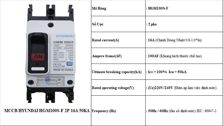 16 TS HGM100S-F 2P