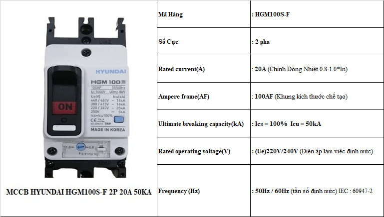 20 TS HGM100S-F 2P