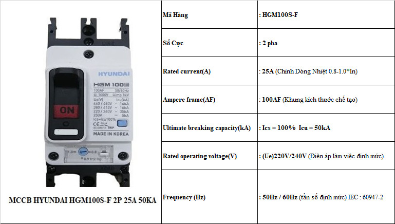 25 TS HGM100S-F 2P