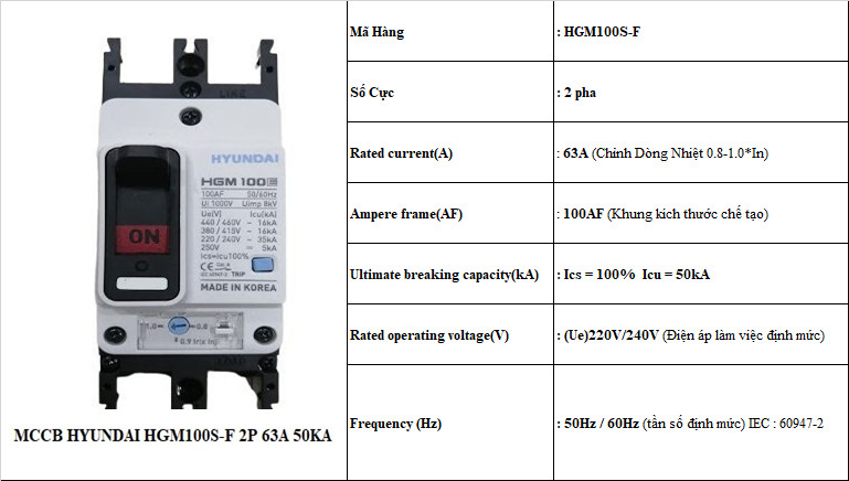 63 TS HGM100S-F 2P