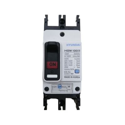 APTOMAT MCCB HYUNDAI 2P 32A 35kA ( HGM100E-F )