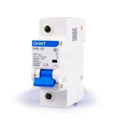 Aptomat MCB NXB-125 1P 125A 10kA Chint